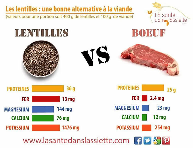 Lentilles VS Viande - different.land