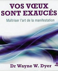 Vos vœux sont exaucés audio : Vos vœux sont exaucés