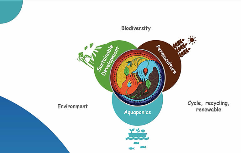 Schéma d'une agriculture régénérative prenant en compte l'environnement, la biodiversité et les cycles de renouvellement à travers le développement durable, l'aquaculture et la permaculture