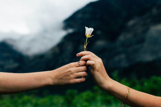 Photo de 2 mains s'échangeant une rose au milieu de la nature
