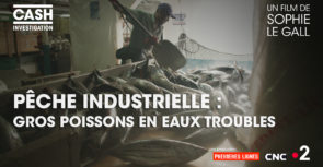 Pêche industrielle, gros poissons en eaux troubles