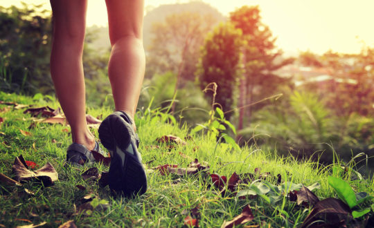 Photo d'un paire de jambes nues en chaussures de marche randonnant dans la nature