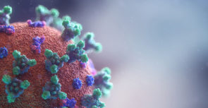 Coronavirus : les trois issues possibles de la crise
