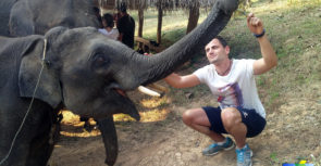 J’ai découvert pour vous l’Elephant Conservation Center du Laos