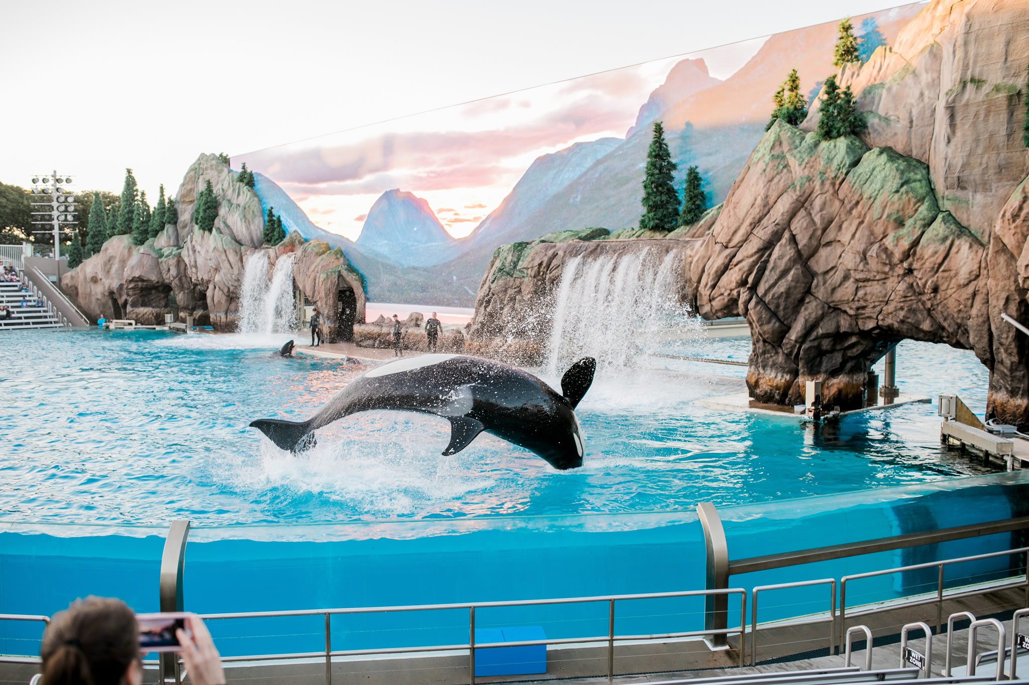 Faut-il interdire les delphinariums ?