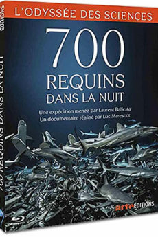 700 requins dans la nuit documentaire : 700 requins dans la nuit