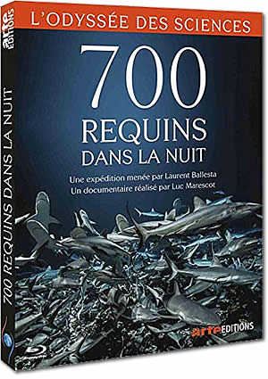 700 requins dans la nuit