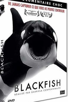 documentaire : Blackfish