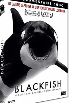 Blackfish documentaire : Blackfish
