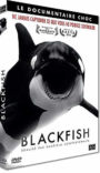 Blackfish