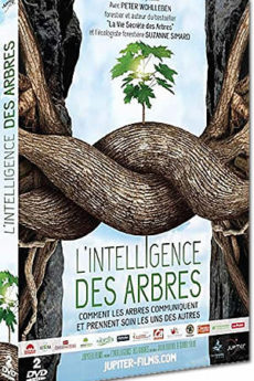 L’intelligence des arbres documentaire : L’intelligence des arbres
