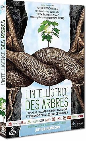 L’intelligence des arbres
