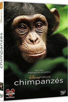 Chimpanzés film : Chimpanzés