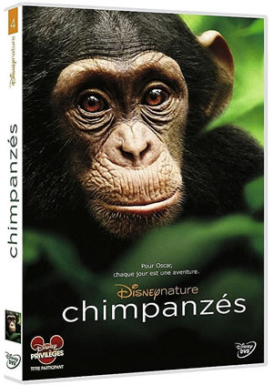 Film : Chimpanzés