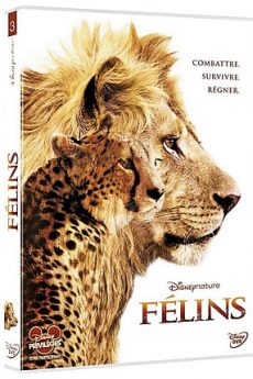 Félins film : Félins