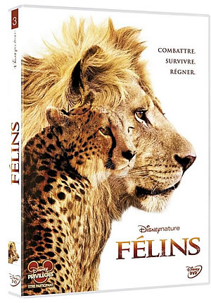 Film : Félins