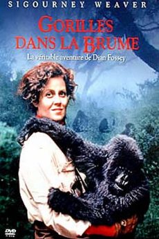 Gorilles dans la brume film : Gorilles dans la brume