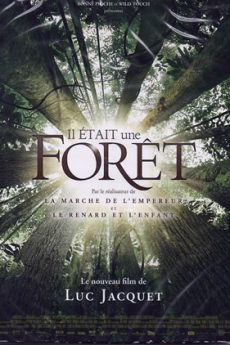 Il était une forêt film : Il était une forêt