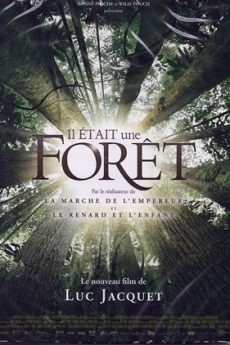 film : Il était une forêt