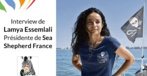 Le combat de Lamya Essemlali pour nos Océans