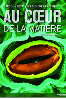 Au coeur de la matière livre : Au coeur de la matière