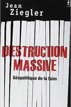 Destruction massive livre : Destruction massive