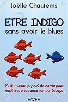 livre : Etre indigo sans avoir le blues