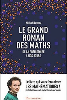 livre : Le grand roman des maths