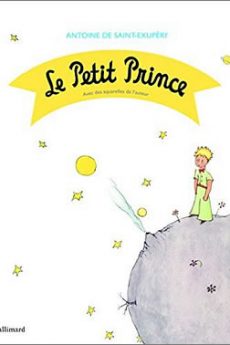 Le petit prince livre : Le petit prince