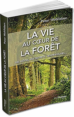 La vie au coeur de la forêt