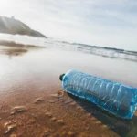 Image pour L’overdose de plastique