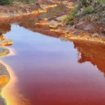 Image pour La pollution des fleuves et des rivières