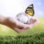 Image pour Solutionner les grands défis écologiques